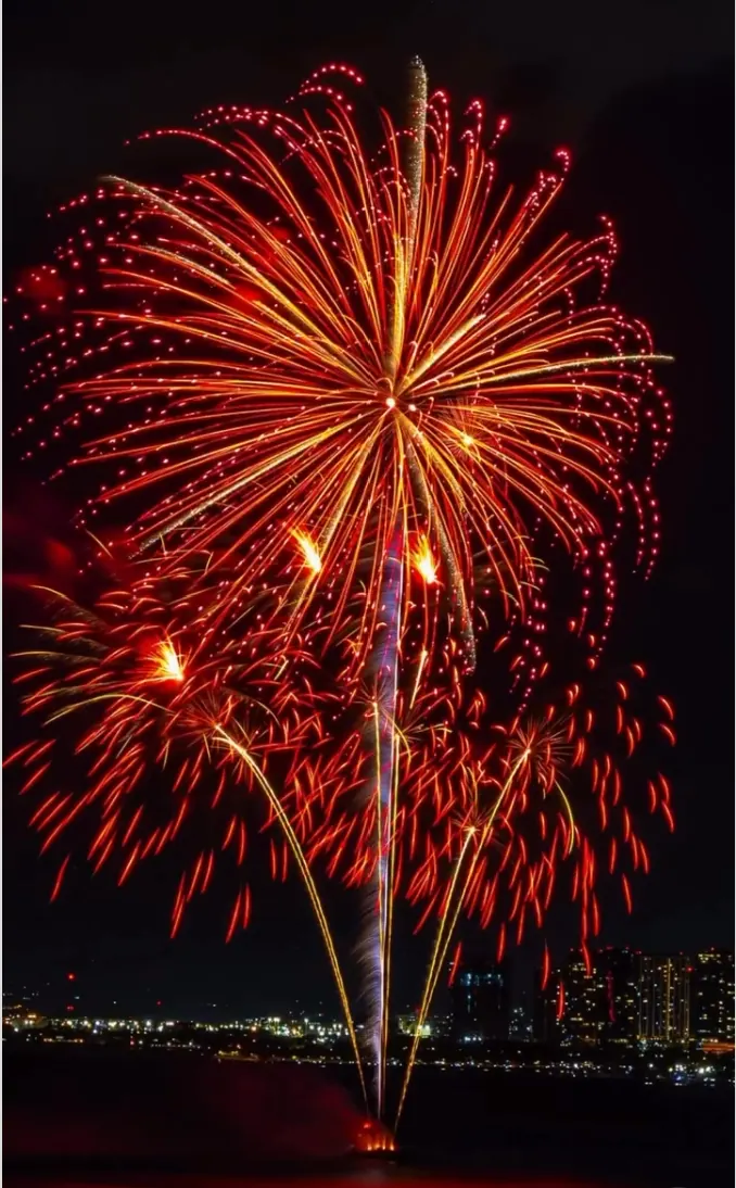 Red and gold fireworks filling the night sky above the waterfront